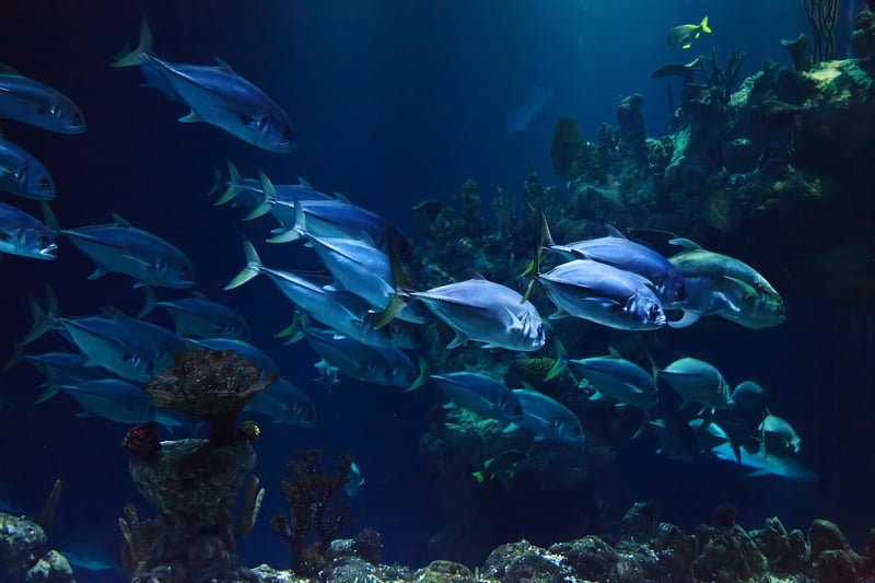 Underwater Cities